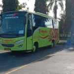sewa bus jogja