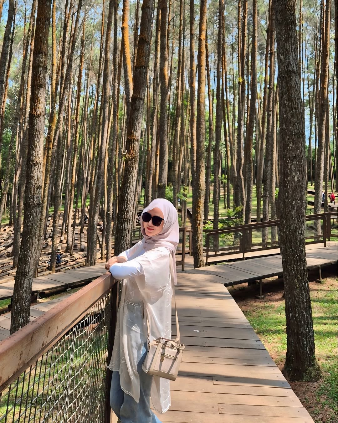 hutan pinus mangunan